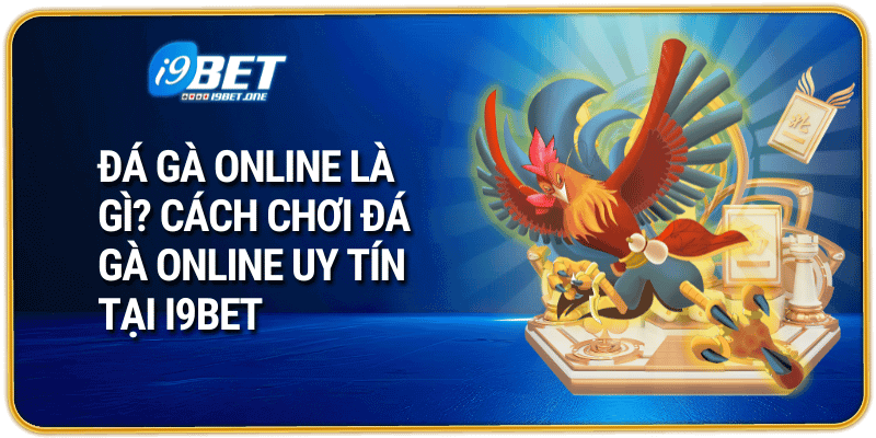 Đá Gà Online Là Gì? Cách Chơi Đá Gà Online Uy Tín Tại i9bet