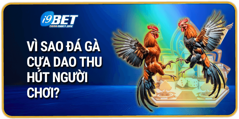 Vì Sao Đá Gà Cựa Dao Thu Hút Người Chơi?