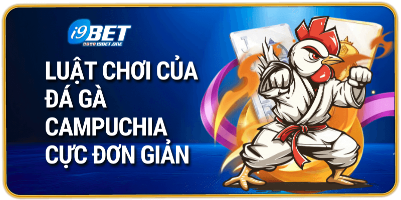 Luật chơi của đá gà Campuchia cực đơn giản